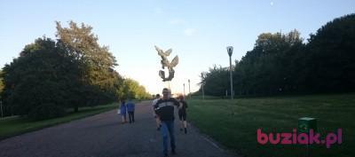 cezary , Mężczyzna, 44, Szczecin, Polska, Zdjęcie: 2
