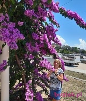 MAGDALENA, Kobieta, 58, Dąbrowa Górnicza, Polska, Zdjęcie: 2