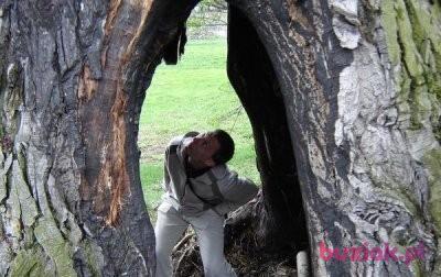 rafał, Mężczyzna, 42, Gliwice, Polska, Zdjęcie: 2