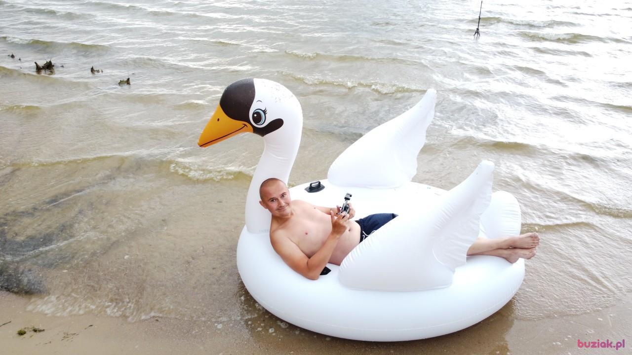Michał, Male, 37, Zgierz, Polska, Photo: 561