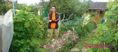 Filip Kochanowicz , Male, 33, Chocianów, Polska, Photo: 3