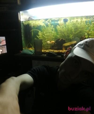 artur, Mężczyzna, 36, Wrocław, Polska, Zdjęcie: 4