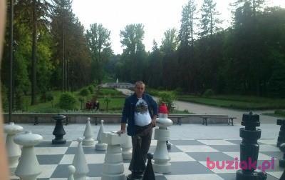 ZBIGNIEW, Mężczyzna, 60, Wołczyn, Polska, Zdjęcie: 2