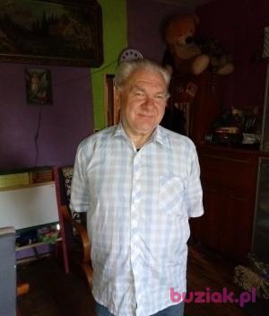 Pawel, Mężczyzna, 69, Witkowo, Polska, Zdjęcie: 3