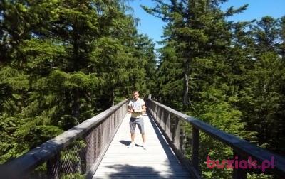 ANDRZEJ, Mężczyzna, 49, Bydgoszcz, Polska, Zdjęcie: 2