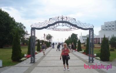 Maria, Kobieta, 67, Jędrzejów, Polska, Zdjęcie: 4