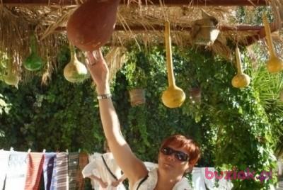 ewa, Kobieta, 61, Katowice, Polska, Zdjęcie: 2