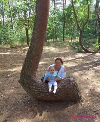 Anna, Kobieta, 48, Stargard Szczeciński, Polska, Zdjęcie: 2
