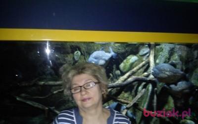 Marysia, Female, 71, Zduńska Wola, Polska, Photo: 3