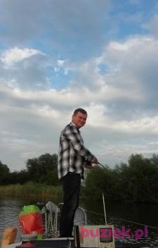 Witek, Mężczyzna, 51, Nysa, Polska, Zdjęcie: 2