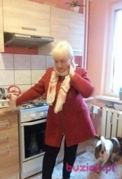 Elzbieta, Kobieta, 67, Legnica, Polska, Zdjęcie: 2
