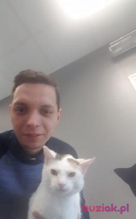 Krzysztof, Male, 35, Wrocław, Polska, Photo: 2