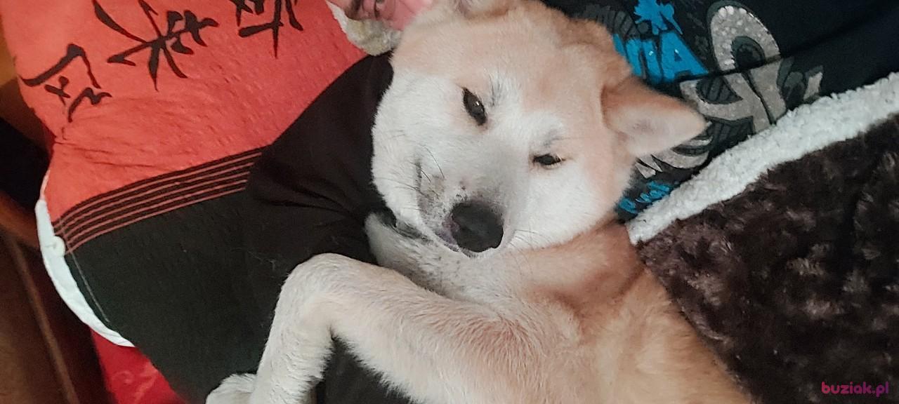 Mateusz, Mężczyzna, 39, Krzeszowice, Polska, Zdjęcie: 6
