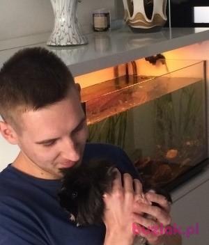 Marcin, Mężczyzna, 35, Częstochowa, Polska, Zdjęcie: 2
