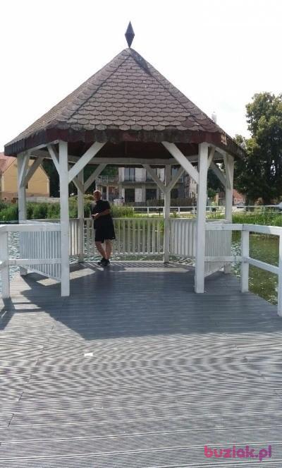 Grzegorz, Mężczyzna, 53, Gorzów Wielkopolski, Polska, Zdjęcie: 4