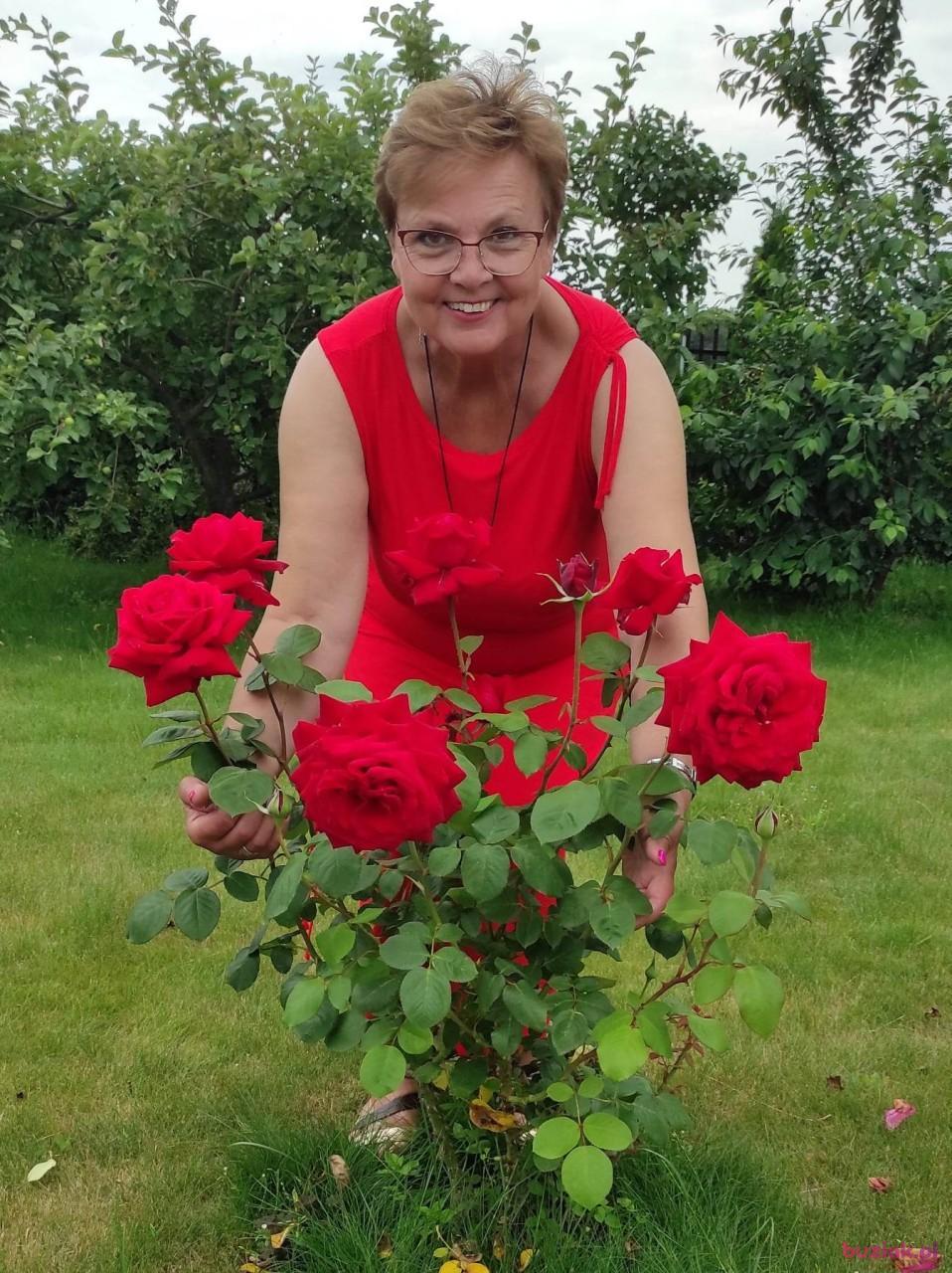 Halina, Kobieta, 65, Lublin, Polska, Zdjęcie: 2