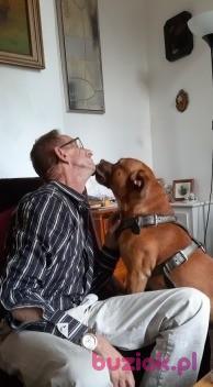 Ryszard, Mężczyzna, 63, Hilton, Wielka Brytania, Zdjęcie: 7