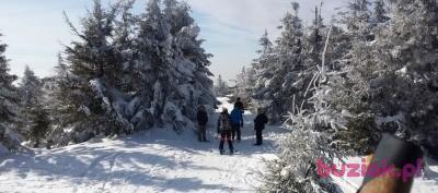 Maciej, Mężczyzna, 70, Dąbrowa Górnicza, Polska, Zdjęcie: 4