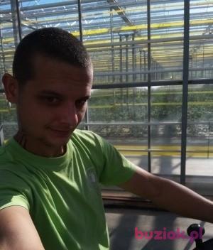 Mariusz, Mężczyzna, 37, Rotterdam, Holandia, Zdjęcie: 1