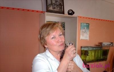 OLGA, Kobieta, 76, Rosja, Zdjęcie: 2