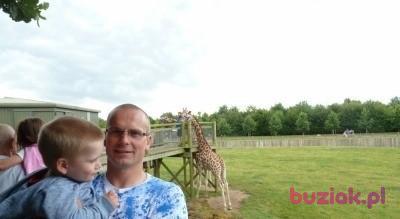 Sławomir, Mężczyzna, 39, Ryglice, Polska, Zdjęcie: 4