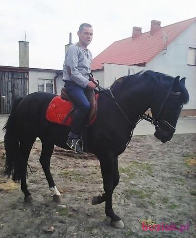 Mateusz, Mężczyzna, 43, Gostyń, Polska, Zdjęcie: 3