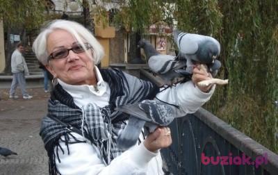 Maria, Kobieta, 77, Nowa Sól, Polska, Zdjęcie: 5