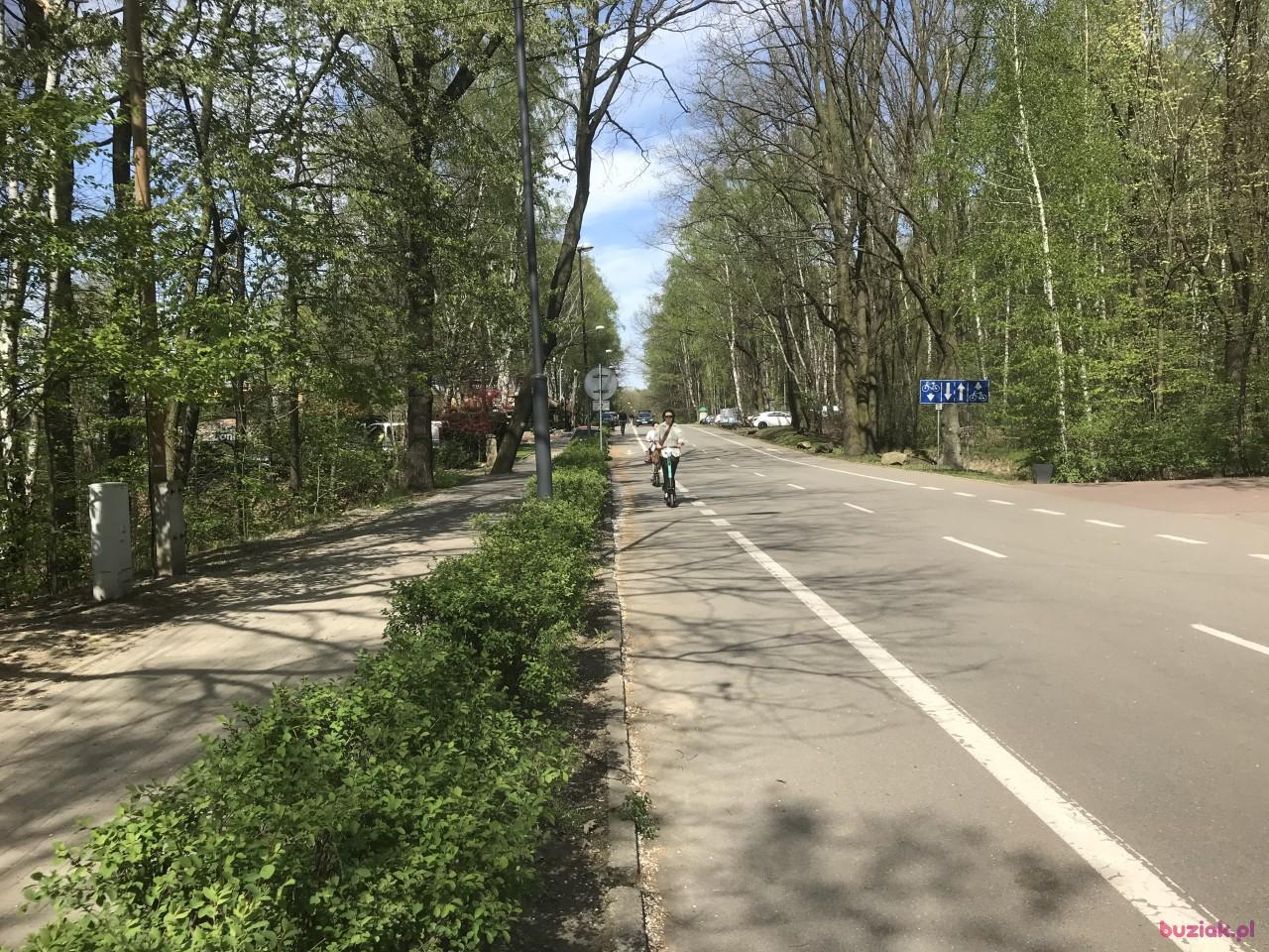 Bob, Mężczyzna, 42, Katowice, Polska, Zdjęcie: 6