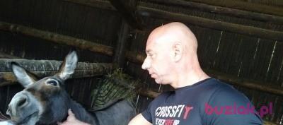 Robert, Male, 48, Jelcz-Laskowice, Polska, Photo: 2
