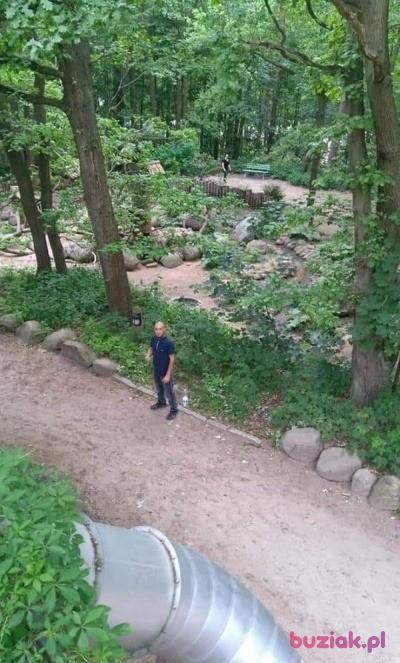 darek, Mężczyzna, 32, Ruda Śląska, Polska, Zdjęcie: 2