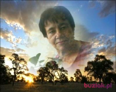 Bernardetta, Female, 69, Katowice, Polska, Photo: 2