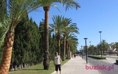 paweł, Mężczyzna, 45, Poznań, Polska, Zdjęcie: 1