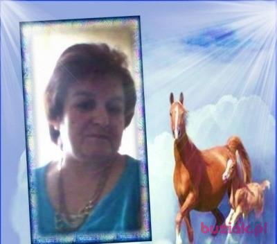 IWONA, Kobieta, 62, Niemcy, Zdjęcie: 13