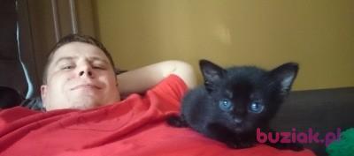 Dawid, Mężczyzna, 38, Lisse, Holandia, Zdjęcie: 3