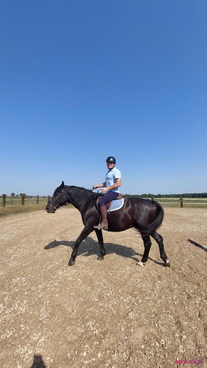 Marek, Mężczyzna, 58, Góra, Polska, Zdjęcie: 6