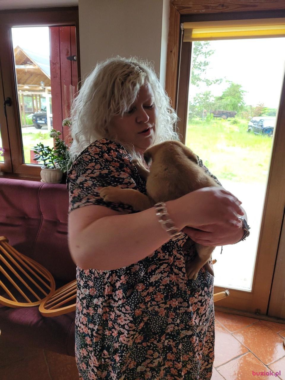 Magdalena, Kobieta, 48, Włocławek, Polska, Zdjęcie: 3