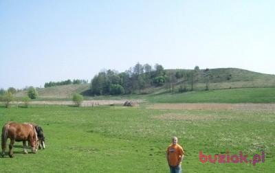 Sławek, Mężczyzna, 41, Łódź, Polska, Zdjęcie: 3
