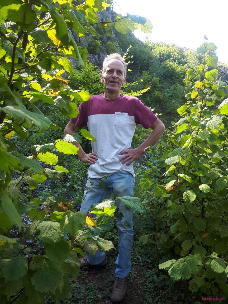 Jacek, Mężczyzna, 60, Kraków, Polska, Zdjęcie: 3
