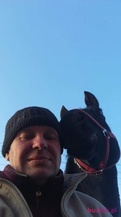 Seb, Mężczyzna, 50, Trzebiatów, Polska, Zdjęcie: 6