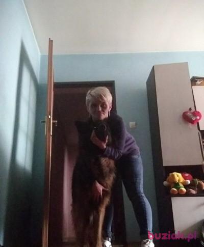 Katarzyna, Kobieta, 43, Świętochłowice, Polska, Zdjęcie: 5
