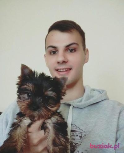 Michał, Mężczyzna, 32, Warszawa, Polska, Zdjęcie: 7