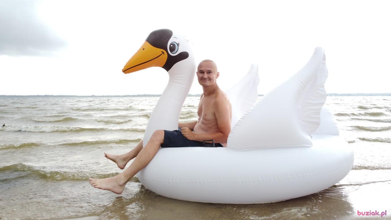 Michał, Male, 37, Zgierz, Polska, Photo: 526