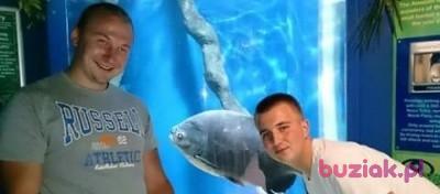 zaczykparowka65, Mężczyzna, 30, Nowy Sącz, Polska, Zdjęcie: 3