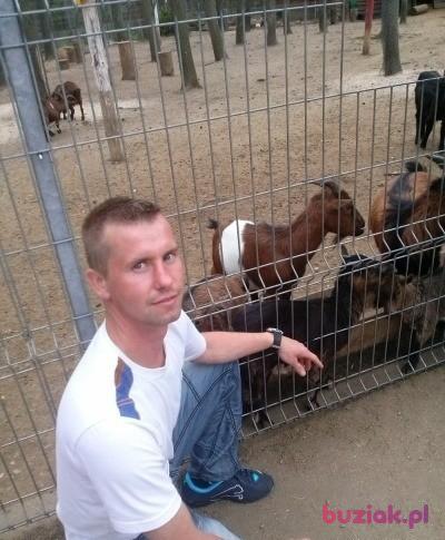 Waldemar( waldi), Mężczyzna, 42, Grudziądz, Polska, Zdjęcie: 4