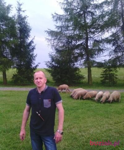 Michsł, Mężczyzna, 56, Radom, Polska, Zdjęcie: 2
