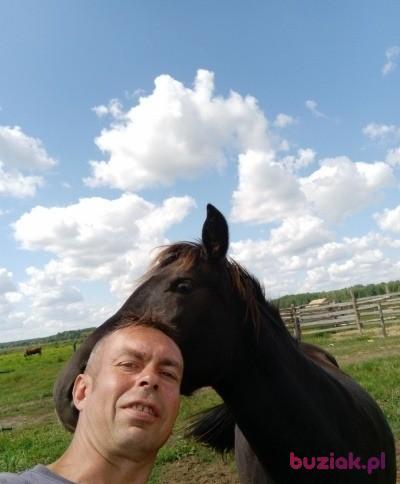 adam, Male, 48, Bielsk Podlaski, Polska, Photo: 3