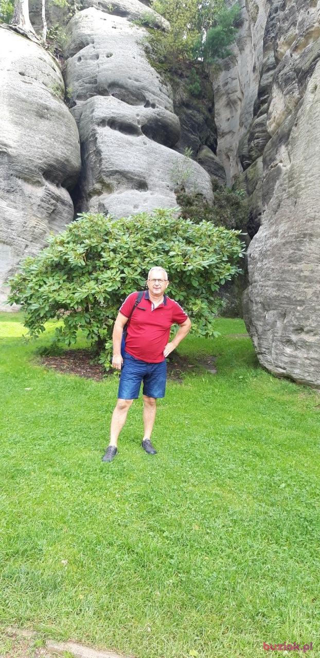 Mirek, Mężczyzna, 63, Gliwice, Polska, Zdjęcie: 6