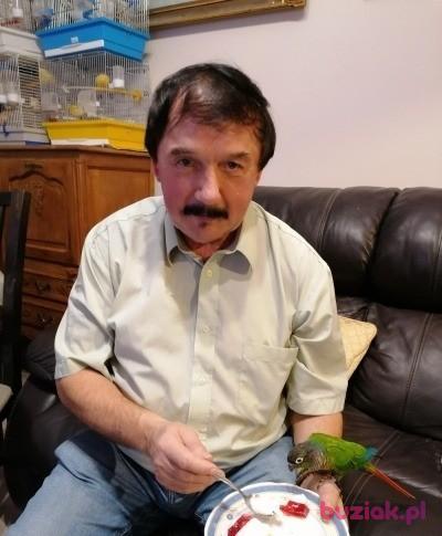 Zdzislaw, Mężczyzna, 69, Kraków, Polska, Zdjęcie: 3