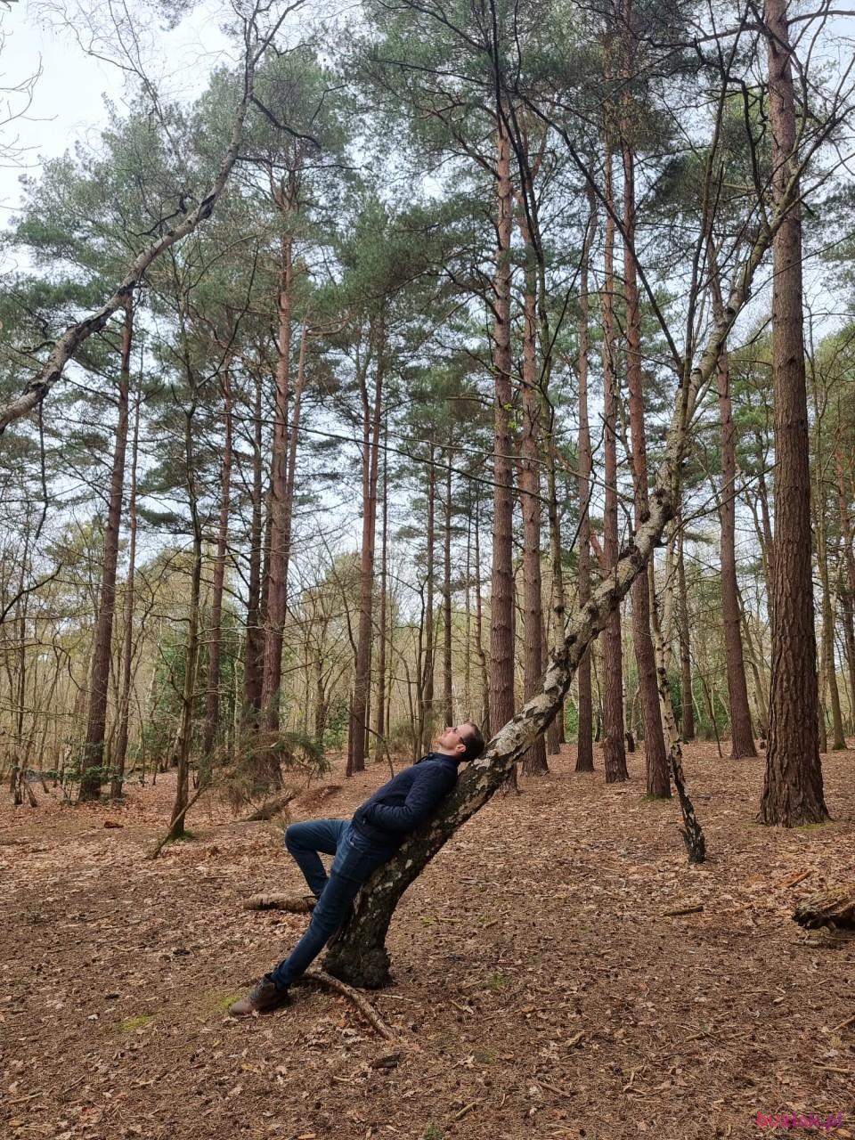 Marcin, Male, 34, Westminster, Wielka Brytania, Photo: 2