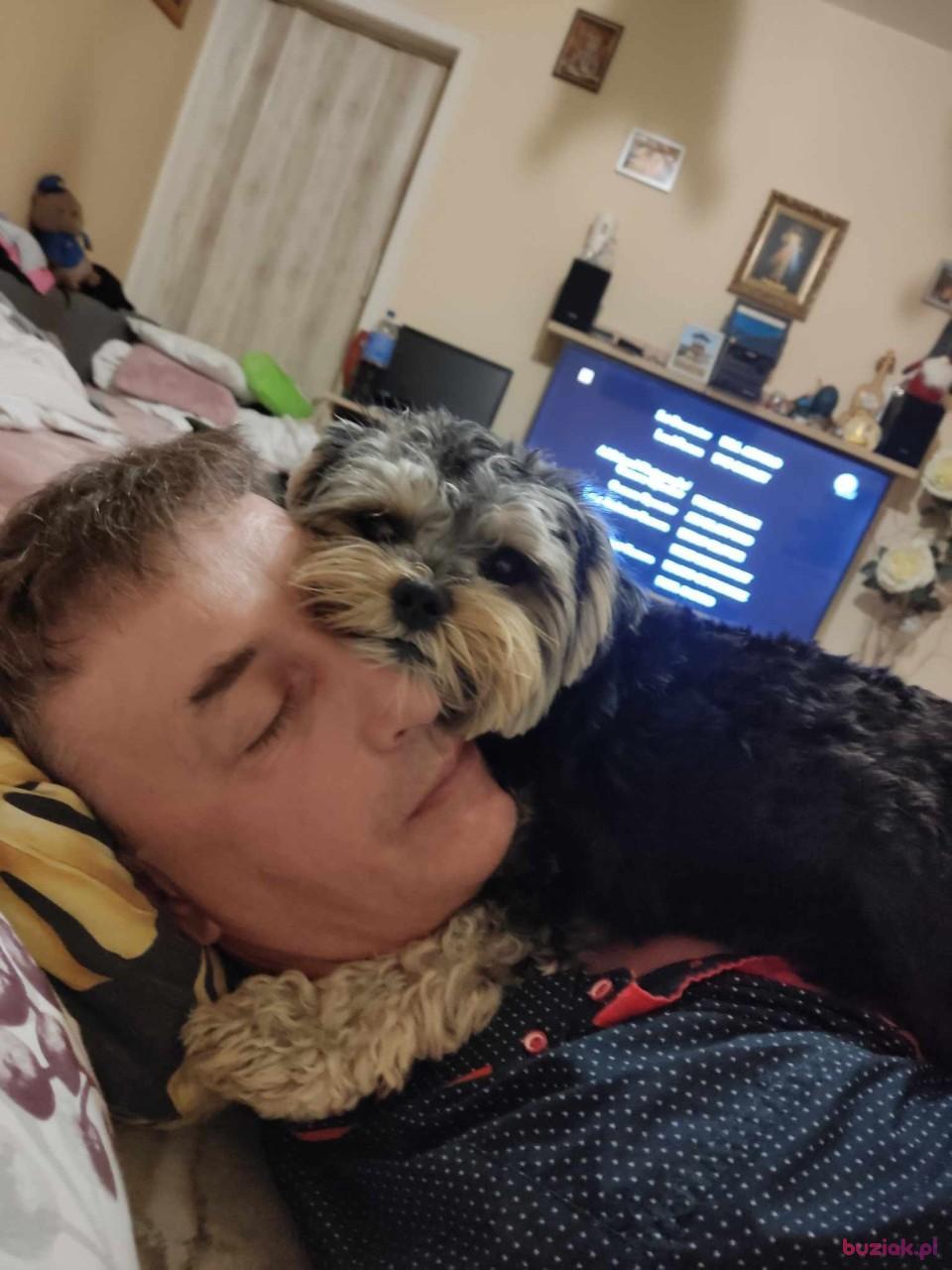 Robert, Mężczyzna, 50, Kraków, Polska, Zdjęcie: 2